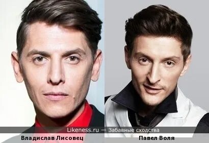Двойник воля