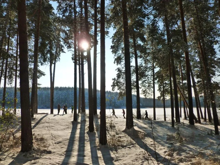 дальняя дача кыштым. челябинск кыштым дальняя дача санатории. дальняя дача кыштым озеро. город кыштым санаторий дальняя дача. санаторий дальняя дача кыштым.