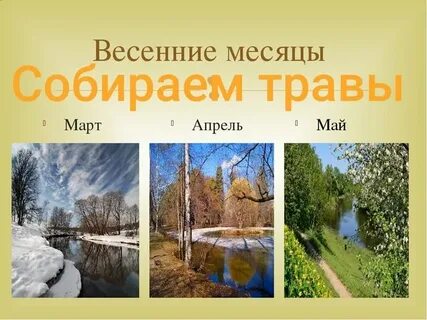 Март месяц какое время года