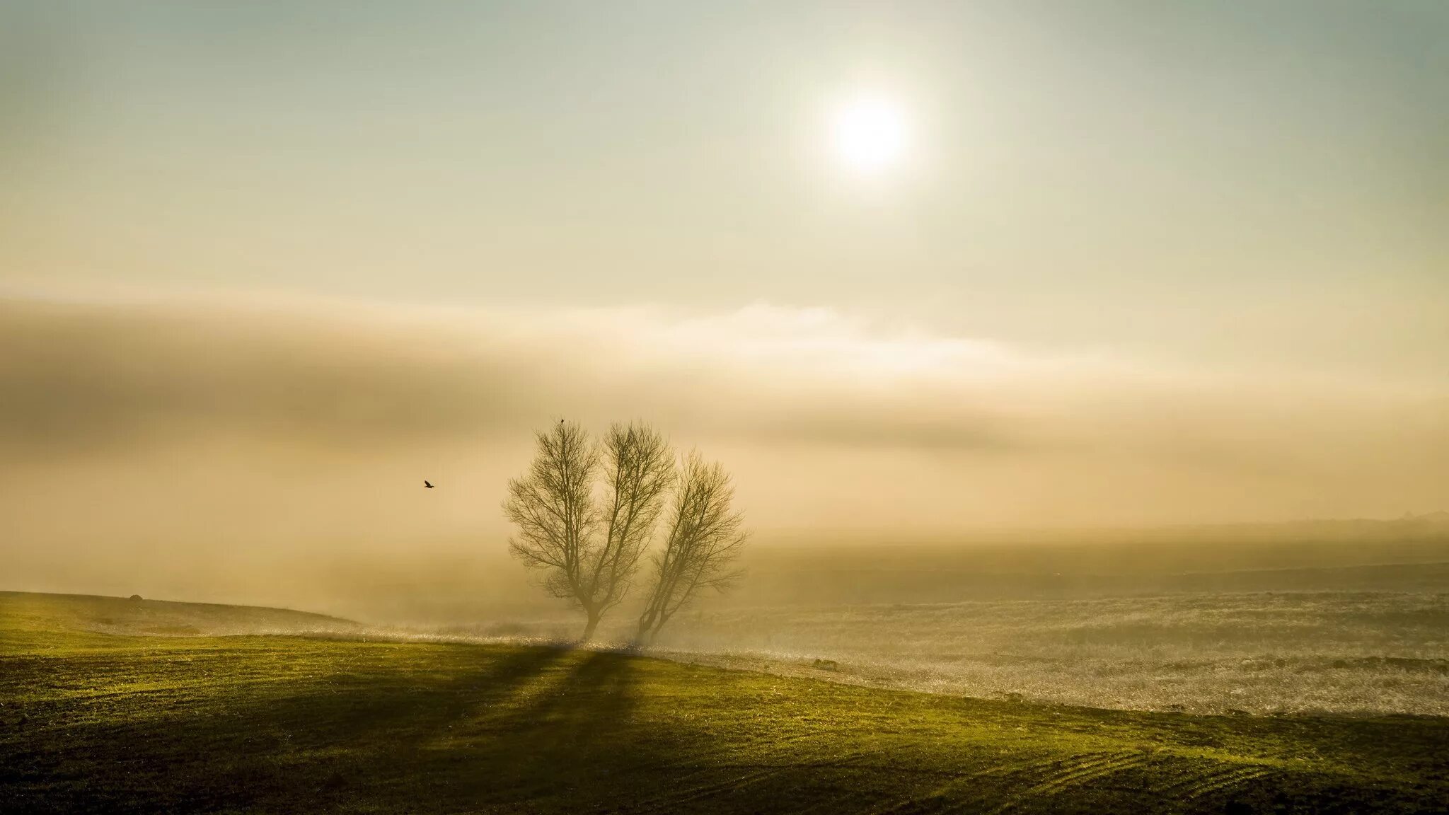 Утреннее небо. Солнце сквозь тучи. Тает стаей город во мгле. 06. Обои туман.