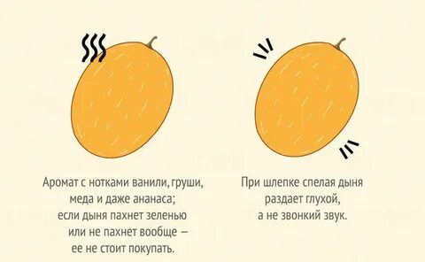 Песня про дыню