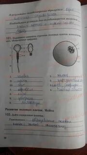 Линия жизни 9 класс рабочая тетрадь