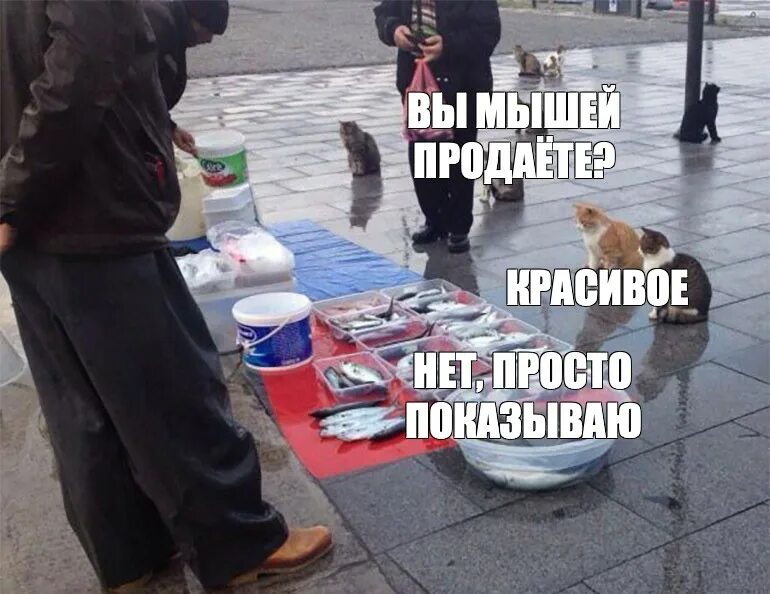Рыбу продаете нет показываю красивое. Рыбу продаете нет показываю красивое