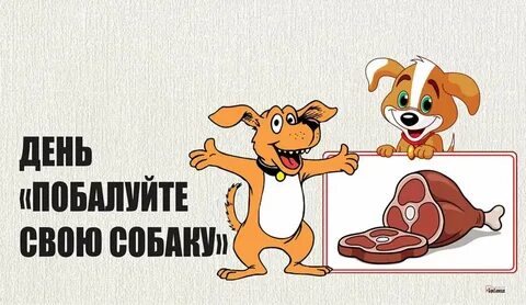 Собака 10 дней