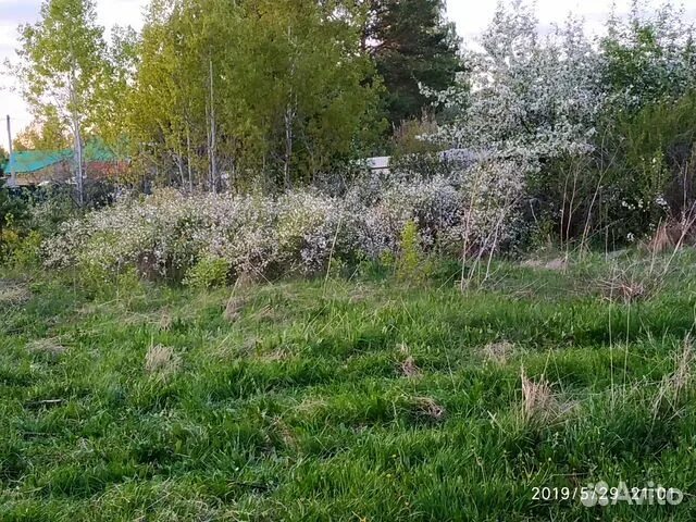 Снт фазенда