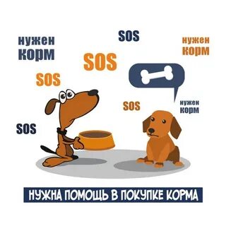 Нужен корм собакам