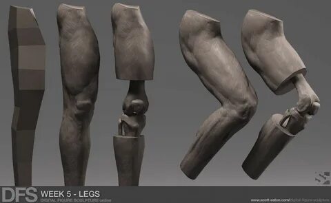 Legged five