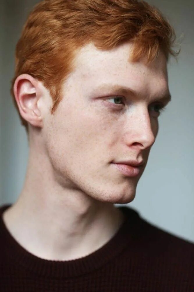 Linus wordemann. Рыжие мужчины с карими глазами. Рыжий кудрявый парень. Linus wordemann модель. Рыжий мужчина.