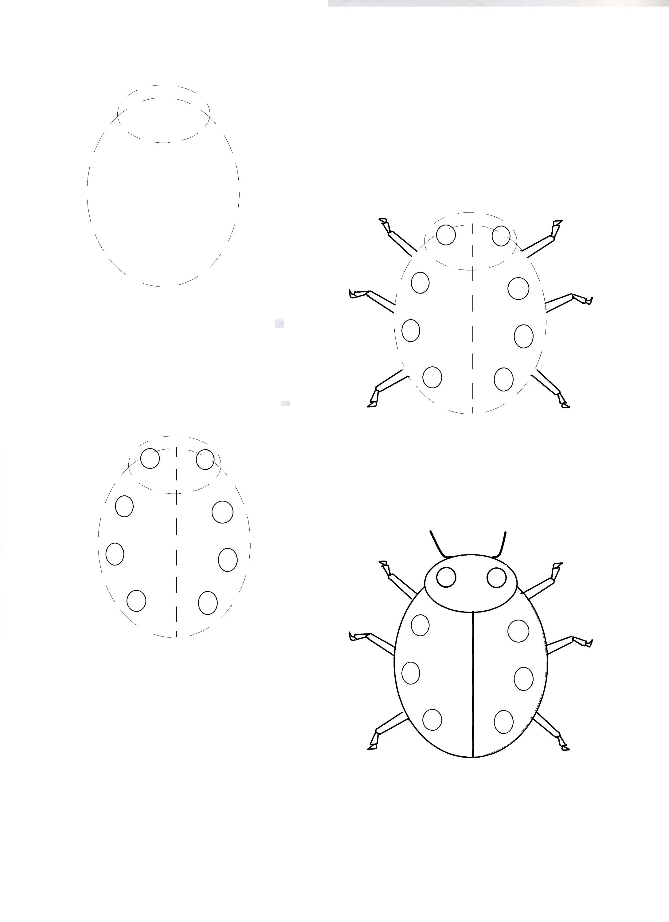 Божья коровка поэтапное рисование для детей. Поэтапное рисование Божьей коровки. Божья коровка рисунок карандашом. Схема рисования Божьей коровки для детей. Как рисовать коровку