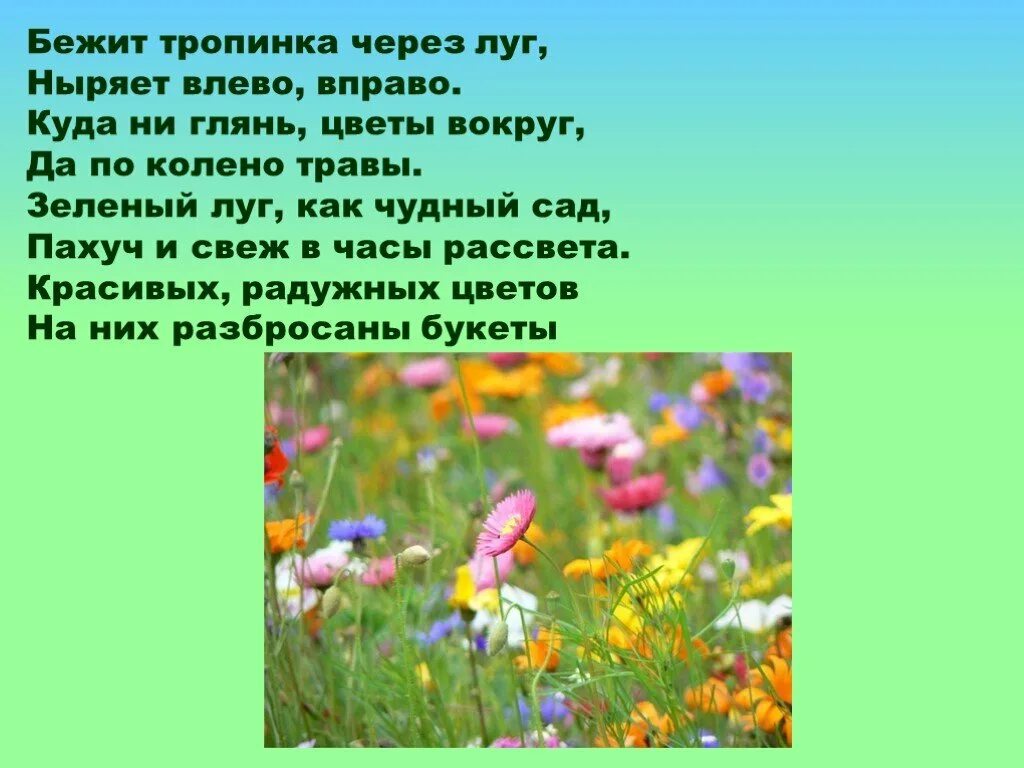 Луг зеленый стихотворение. Бежит тропинка через луг ныряет влево вправо. Цветаева бежит тропинка. Цветаева бежит тропинка с бугорка наши царства. Стихотворение бежит тропинка.