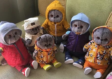 Ми кот басик
