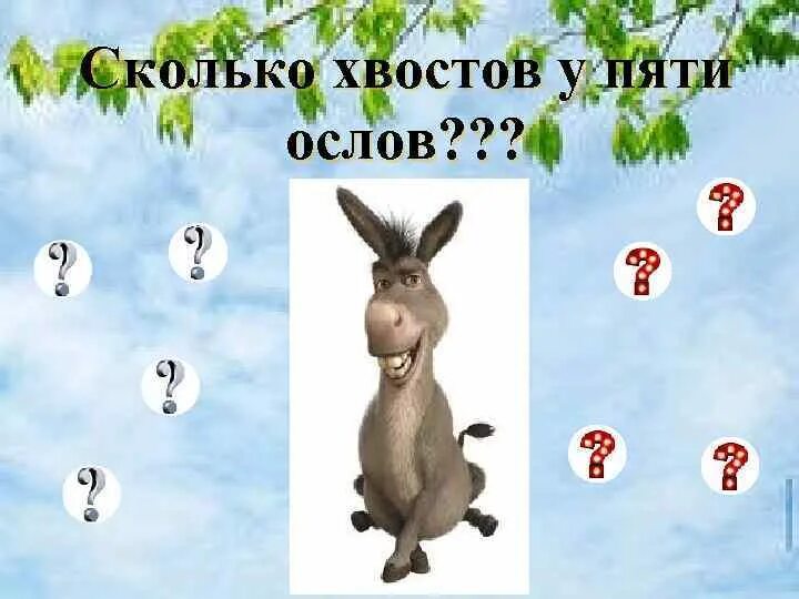 Девять осликов. Сколько хвостов у двух ослов. Сколько хвостов у 5 ослов. 5 Осликов. Осёл и счёты.