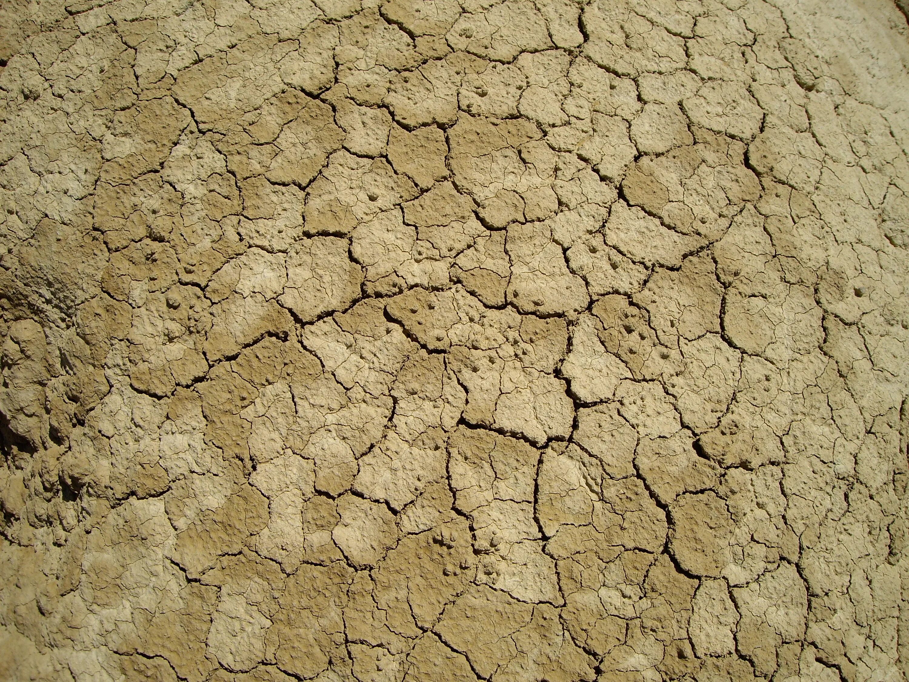 Трещины грунта. Засуха. Почва. Текстура земли. Грунт текстура.
