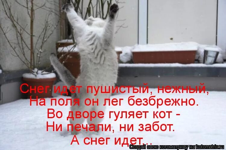 а снег идёт а снег идёт. стихи про зиму. а снег идёт а снег. стихотворение про снегопад. холодно идет снег.