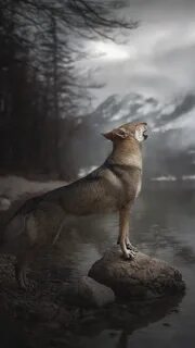 River wolves