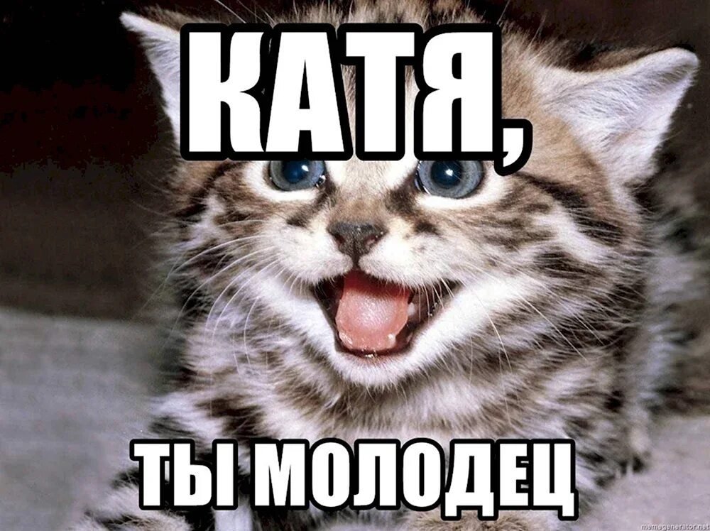 Ну я катя. Шутки про катю. Люблю тебя злюка. Злая катя. Катя ты.