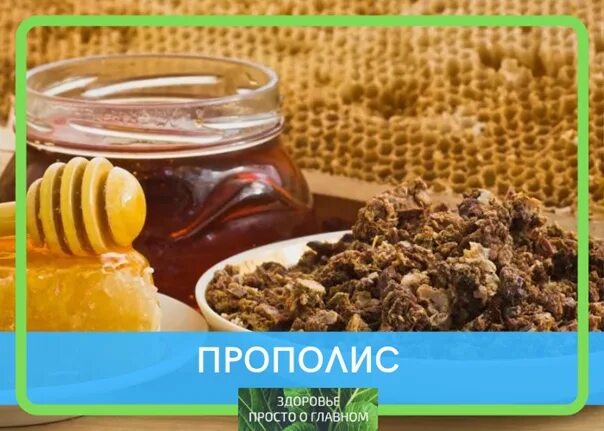 Прополис натощак. Прополис. прополис от сотни болезней. прополис в народной медицине. прополис в старину.