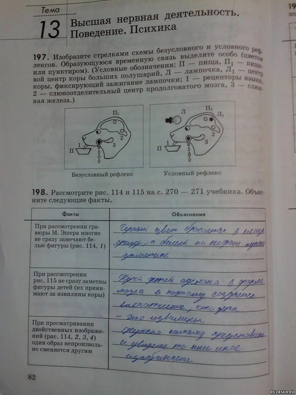 Биология 9 класс колесов маш. Гдз по биологии 8 класс Колесов. Гдз по биологии 8 класс колесо. Гдз биология 8 класс Колесов. Биология 8 класс рабочая тетрадь Колесов.