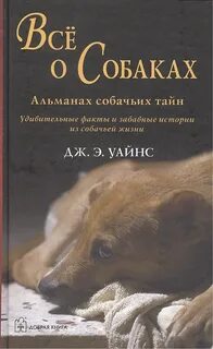 История жизни собаки