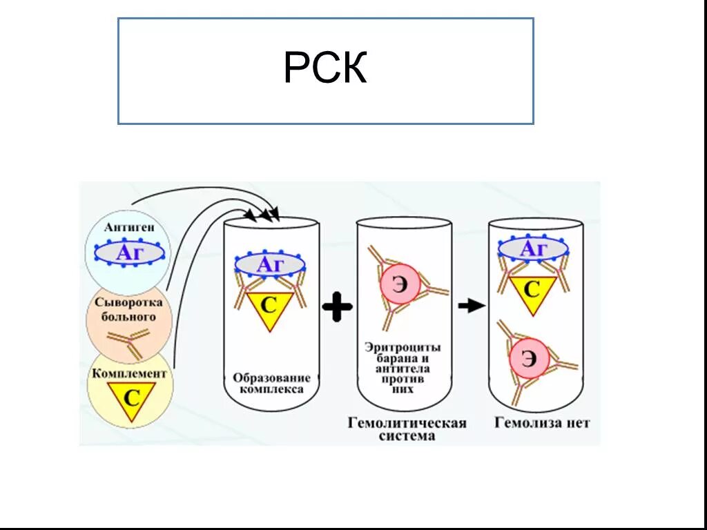Комплемента рск. Реакция связывания комплемента схема. Реакция связывания комплемента (РСК ) рисунок. Реакция связывания комплемента РСК микробиология. Реакция свертывания комплемента.