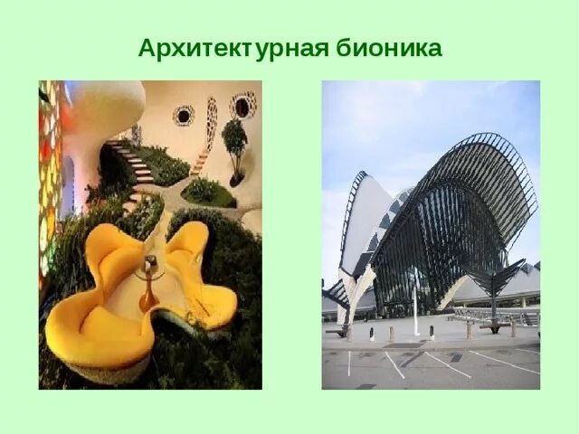 Бионика. Архитектурная Бионика слайды. Бионика для детей. Бионика в архитектуре примеры. Бионик парк