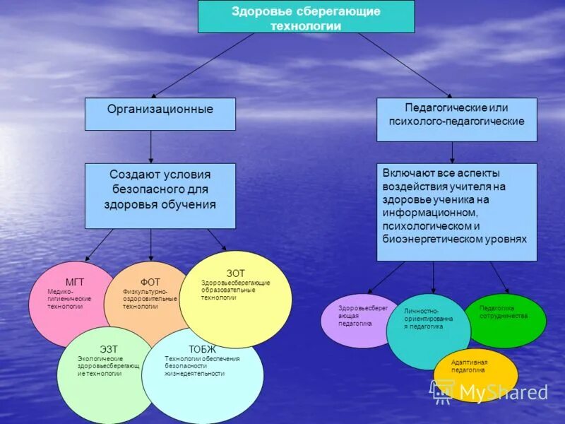 Программа образование и здоровье. Схема работы по охране жизни и здоровья воспитанников. Здоровьесберегающие технологии в образовательном учреждении. Социализация и зож. Программа здоровье и образование.