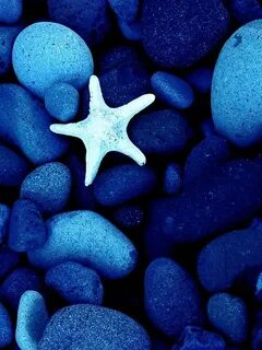 Blue seen