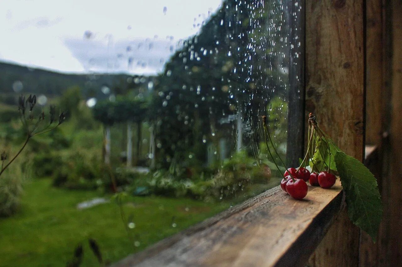 Ilgiz за окном дождь. Дождь в окне. Дождь за окном. Дождь за окном в деревне. Окно в природу.