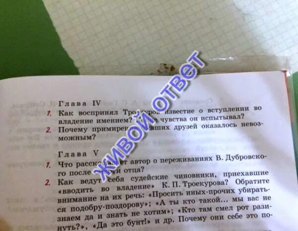 Какие чувства он испытывал троекуров. Какие чувства он испытывал троекуров