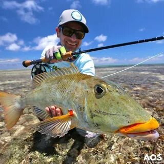 Enjoy fishing