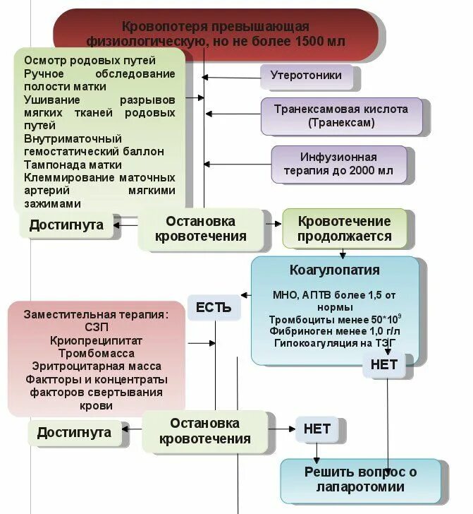 Алгоритм при послеродовом кровотечении. Осмотр родовых путей алгоритм. данные осмотра родовых путей. осмотр мягких тканей родовых путей. осмотр родовых путей и зашивании разрывов алгоритм.