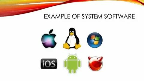 Examples of software are