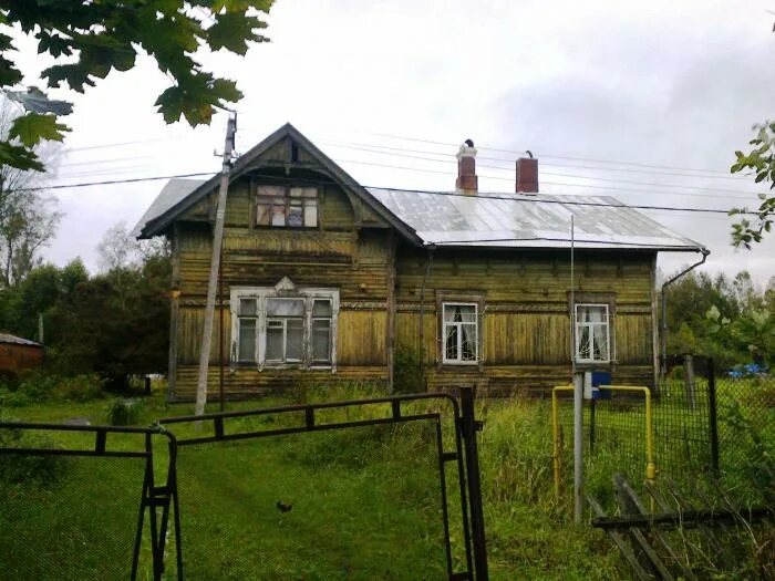 поселок левашово спб. посёлок левашово ленинградской области. левашово ленинградская область.