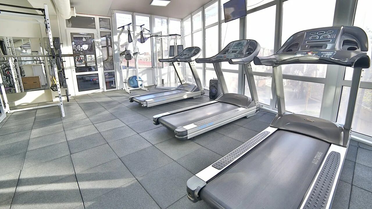 Инсайт фитнес. Мотив фитнес клуб. Медведь Сочи тренажерный зал. Encore Fitness Сочи. Коммерческая секция фитнес.