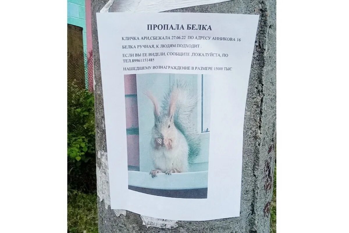 Куда девается белок
