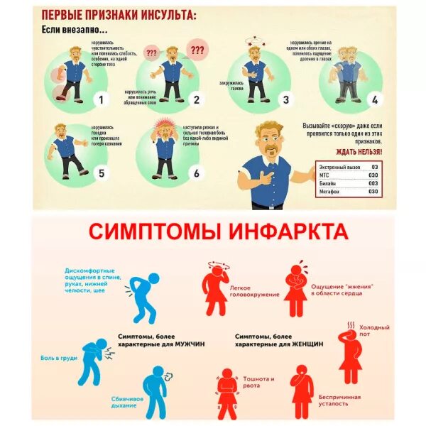 Чем отличается инсульт от инфаркта головного. Чем отличается инсульт от инфаркта головного. Чем отличается инсульт от инфаркта головного. Различие инфаркта и инсульта. Чем отличается инсульт от инфаркта головного.