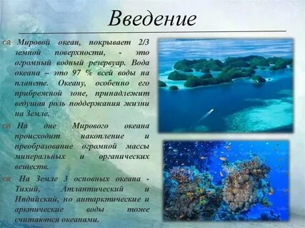 Проект на тему жизнь в океане