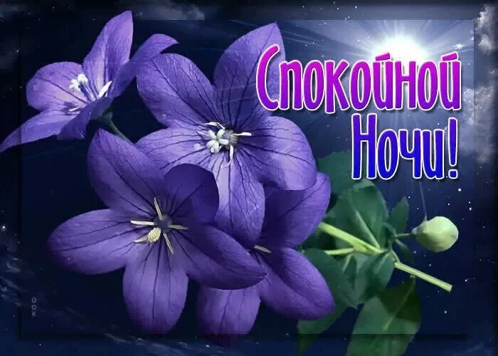 Открытки спокойной ночи. Приятной ночи. Картинки спокойной весенней ночи любимая. Доброй ночи сладких снов. Доброй спокойной ночи.