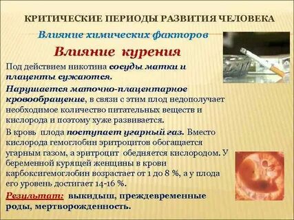 Эмбриональный критический период