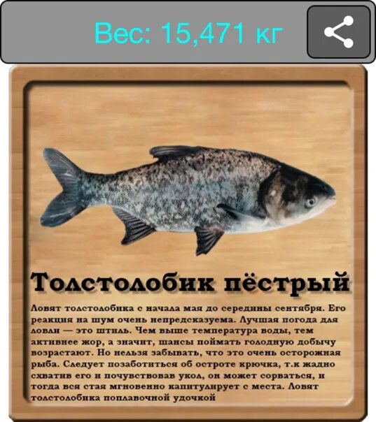 Пестрая масса. Толстолобик пестрый реальная рыбалка. Толстолобик пёстрый в игре реальная рыбалка. Черный лещ реальная рыбалка. Реальная рыбалка энциклопедия толстолобик пестрый.