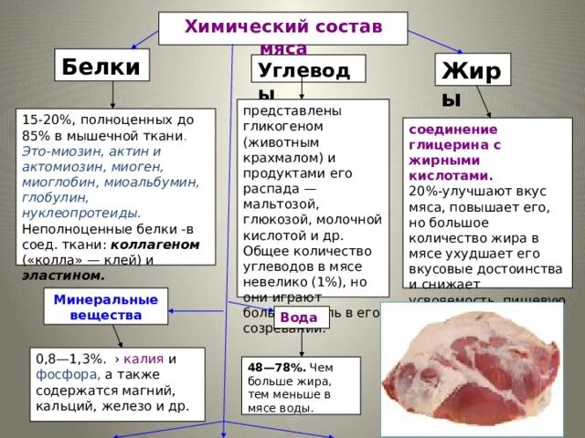 Состав белка мяса. Ximicheskoy sostav myaso. Химический состав мяса. Белков в мясе. Питательные вещества в мясе.