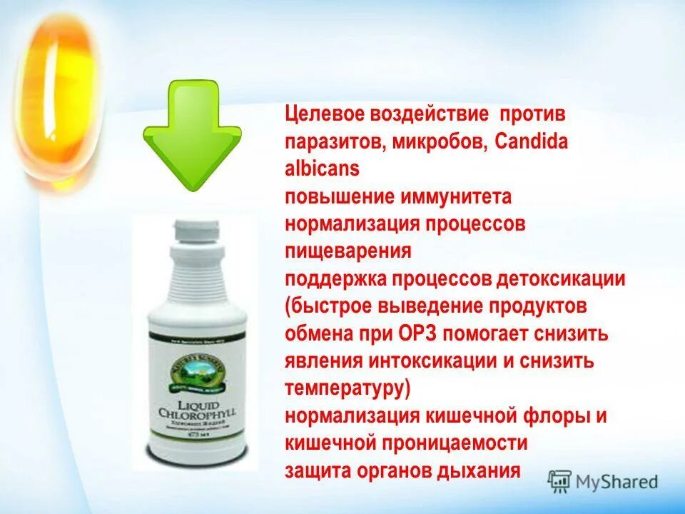 крепкий иммунитет. защита иммунитета. сильный иммунитет. как повысить общий иммунитет организма. усиление иммунитета.