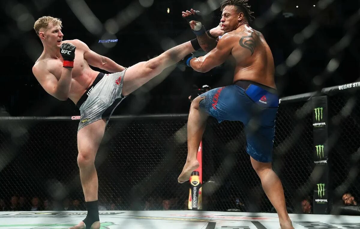 Самые востребованные виды спорта. Статистика единоборств. Сколько голов забил смолов за сборную россии. Смешанные единоборства записаться. Рост и вес бойцов юфс таблица.