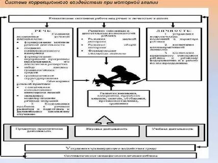 Этапы работы алалии