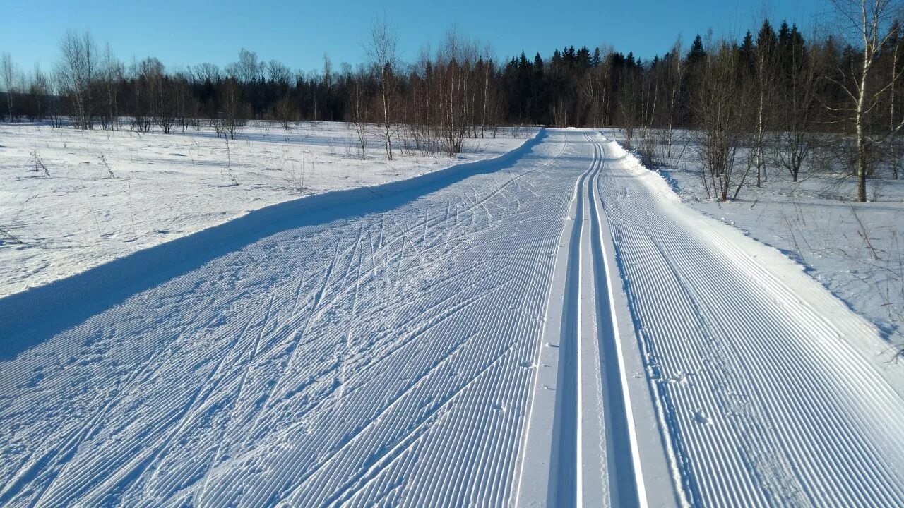 4 лыжная трасса. Алтайский край город Заринск лыжная трасса. Лыжня Заринск трасса. Демино лыжная трасса. Лыжня в Павловске Алтайского края.