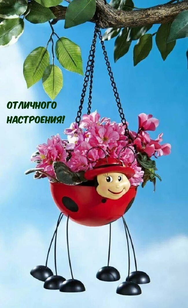 Позитивные картинки для хорошего настроения доброе утро. Необычные открытки с добрым днем. позитивные открытки с добрым утром. доброе утро счастливого дня. позитивные пожелания.