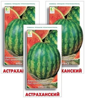 Арбуз астраханский описание сорта