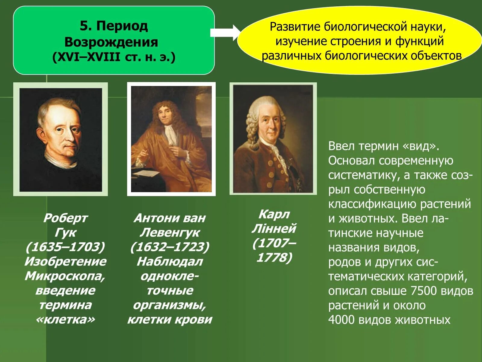 Эпоха Возрождения период. История развития биологии. Исторические этапы развития биологии. Периодизация Возрождения.