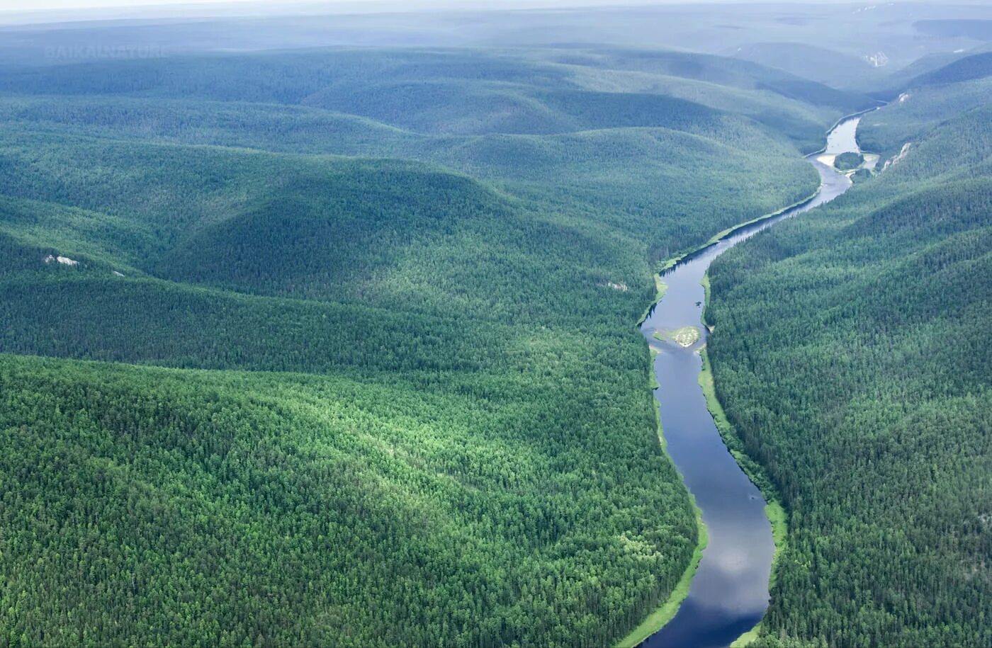 низовья енисея. устье реки енисей. верховье реки енисей. низовья енисея. дельта реки енисей.