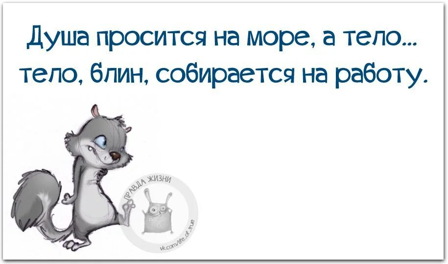 Твой орех просится на грех. Душа просится на море. душа просится на море а тело собирается. душа просится на море, а тело... тело , блин, собирается на работу. правда жизни юмор мотивация.